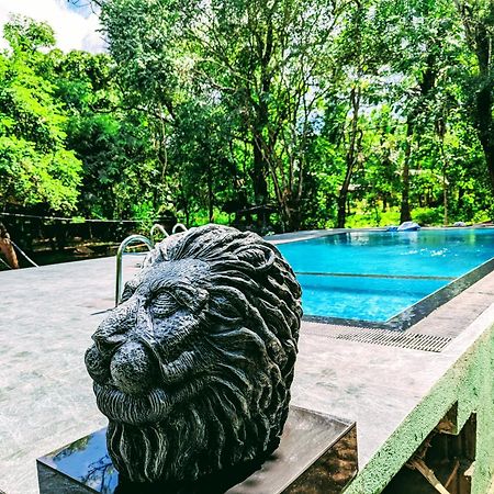 Wildescape Polonnaruwa Cidade Antiga de Polonnaruva Exterior foto