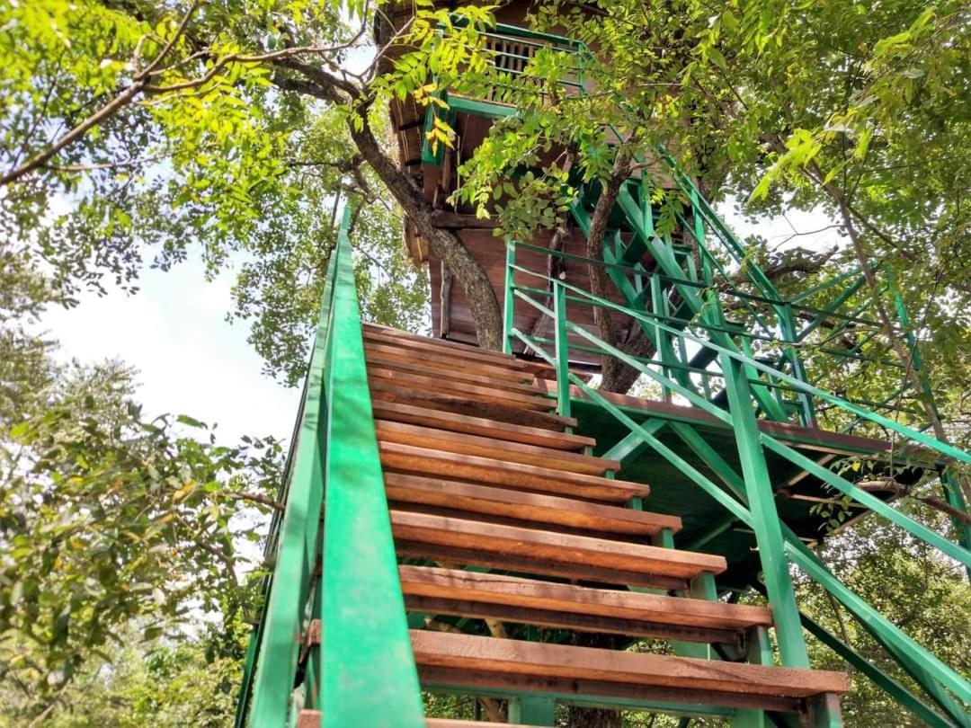 Wildescape Polonnaruwa Cidade Antiga de Polonnaruva Exterior foto