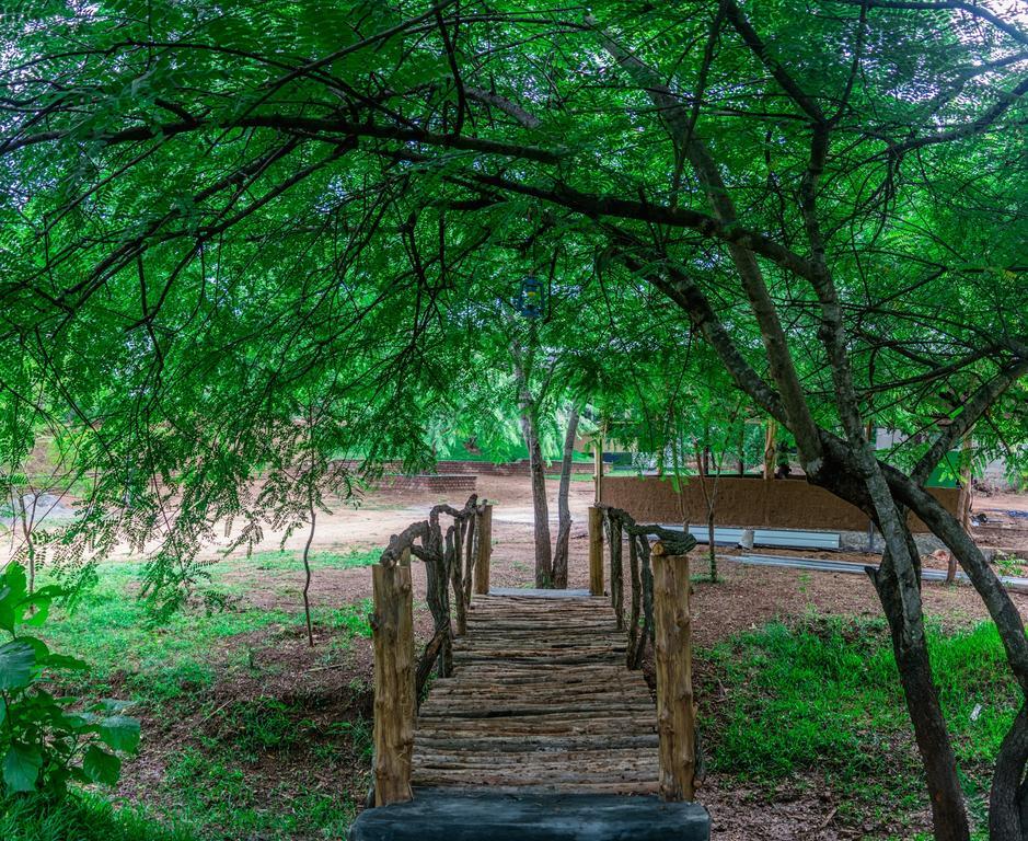 Wildescape Polonnaruwa Cidade Antiga de Polonnaruva Exterior foto