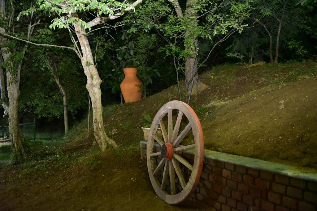 Wildescape Polonnaruwa Cidade Antiga de Polonnaruva Exterior foto